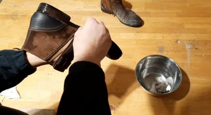 Cleaning mold found on leather shoes