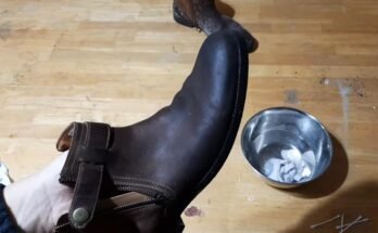 How to Prevent and Remove Mould Growth on Boots