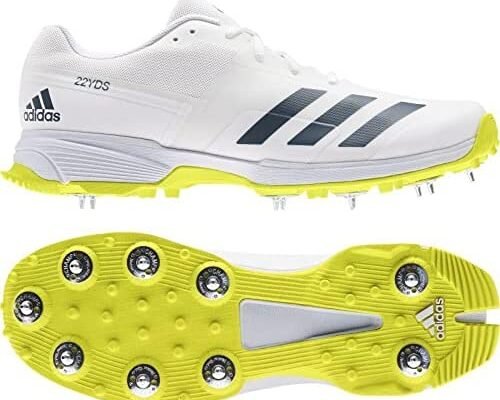 Which Shoes is Best for Cricket
